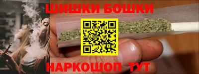 стафф Гай