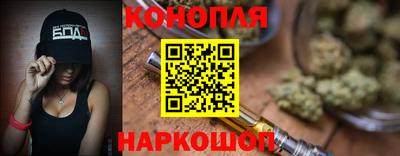 стафф Гай