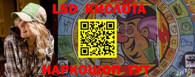 стафф Гай
