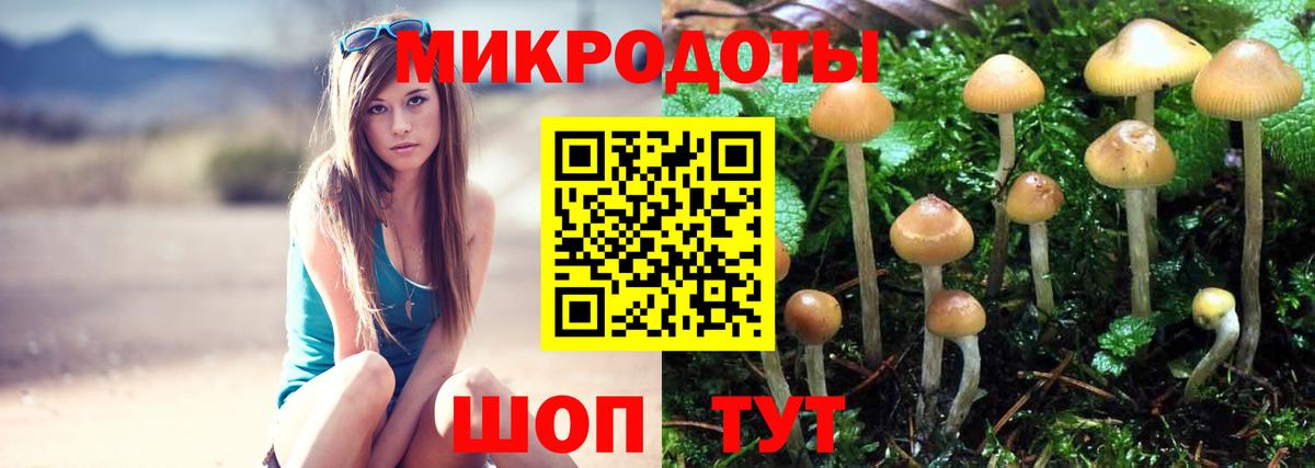 Гурьевск  Галлюциногенные грибы прущие грибы  Вход с VPN 